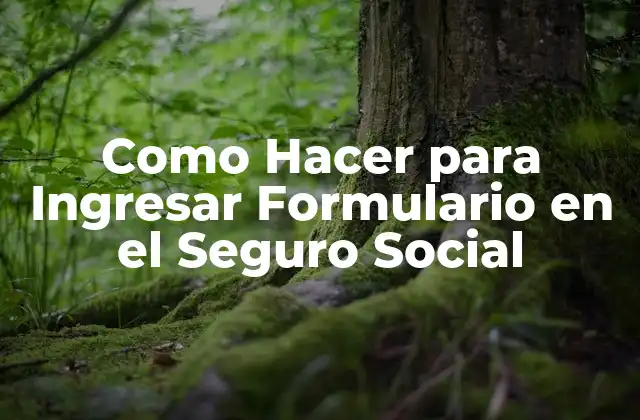 ¿Qué es el Seguro Social y para qué Sirve?
