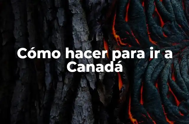 Cómo Hacer para Ir a Canadá