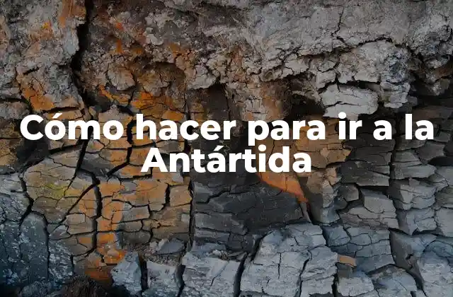 Cómo Hacer para Ir a la Antártida