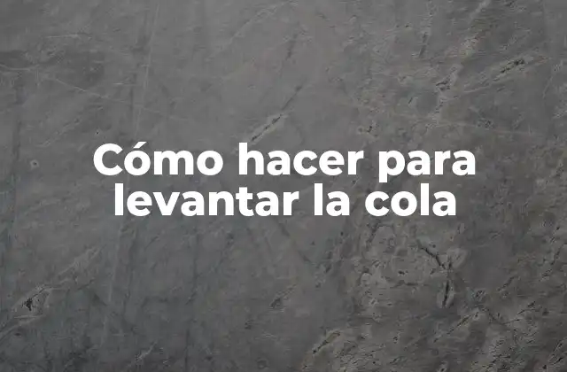 Cómo hacer para levantar la cola