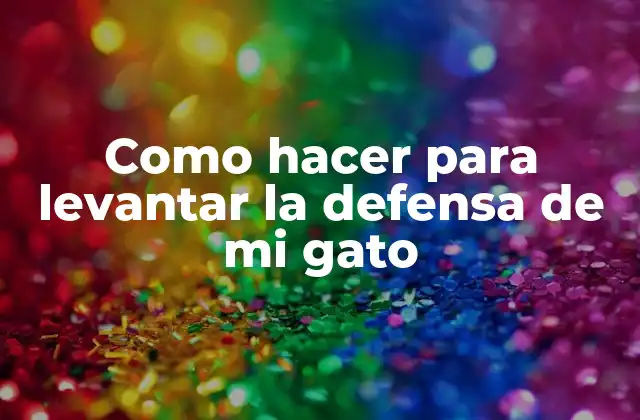 Como Hacer para Levantar la Defensa de Mi Gato 2 La defensa del gato: qué es y cómo se manifiesta