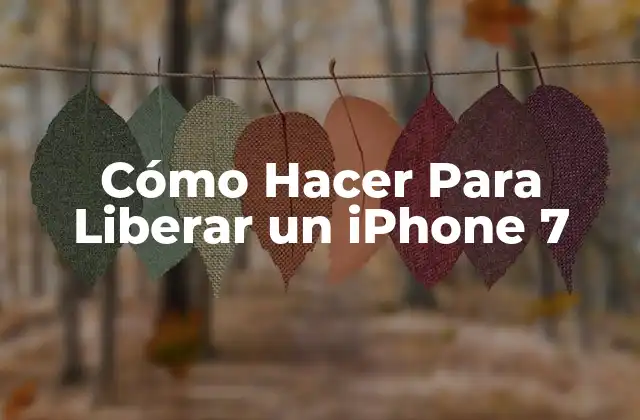 Cómo Hacer para Liberar un Iphone 7 2 ¿Qué es Liberar un iPhone 7 y Para Qué Sirve?