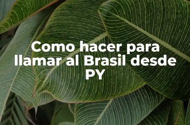 Como Hacer para Llamar Al Brasil desde Py