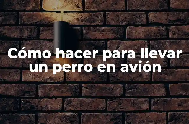 Cómo Hacer para Llevar un Perro en Avión