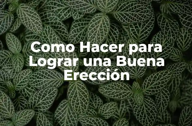 Como Hacer para Lograr una Buena Erección