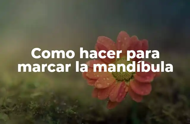 Como Hacer para Marcar la Mandíbula