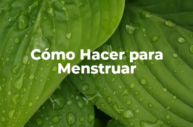 Cómo Hacer para Menstruar