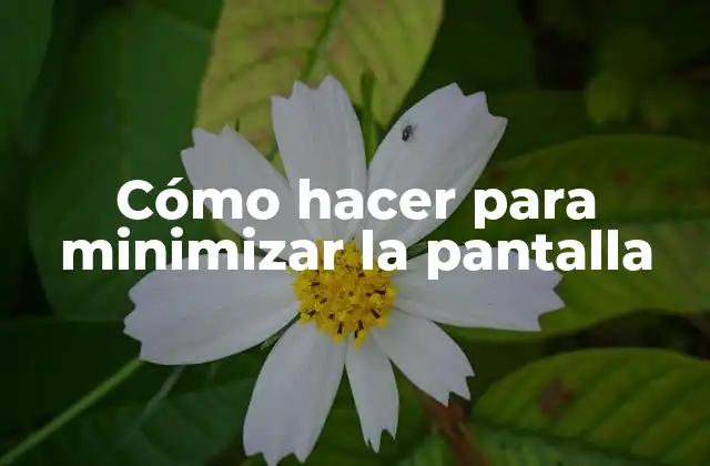 Cómo Hacer para Minimizar la Pantalla