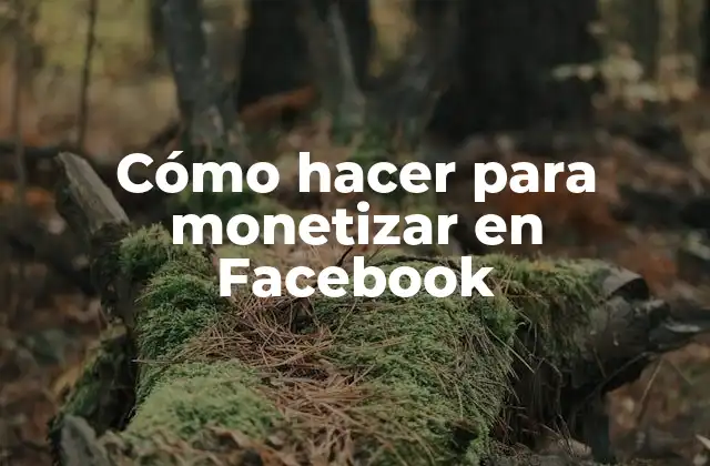 Cómo Hacer para Monetizar en Facebook