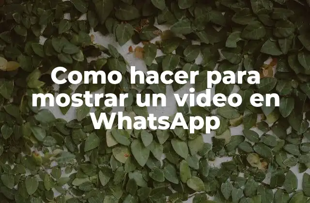 Como Hacer para Mostrar un Video en Whatsapp