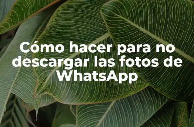 Cómo Hacer para No Descargar las Fotos de Whatsapp