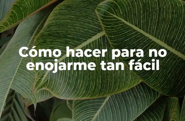 Cómo Hacer para No Enojarme Tan Fácil