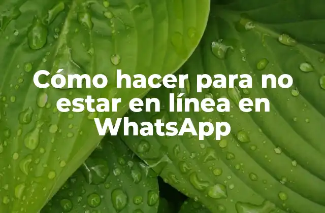 Cómo Hacer para No Estar en Línea en Whatsapp