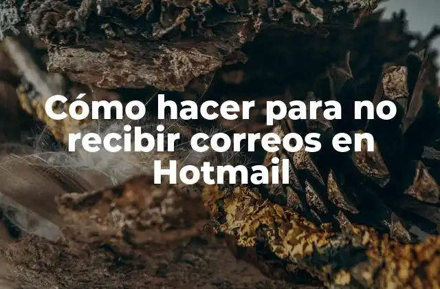 Cómo Hacer para No Recibir Correos en Hotmail