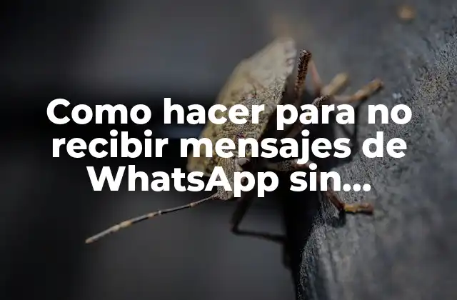 Como Hacer para No Recibir Mensajes de Whatsapp sin Bloquear