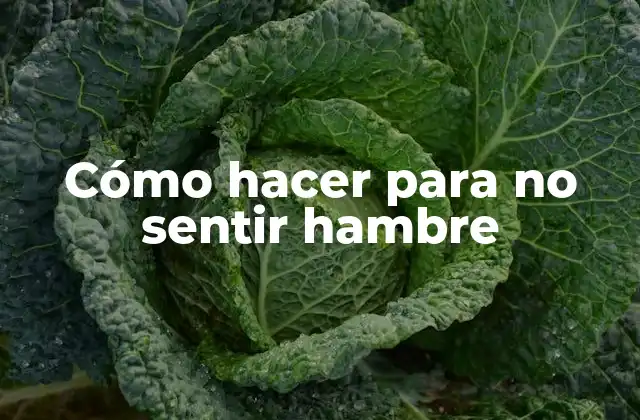 Cómo Hacer para No Sentir Hambre