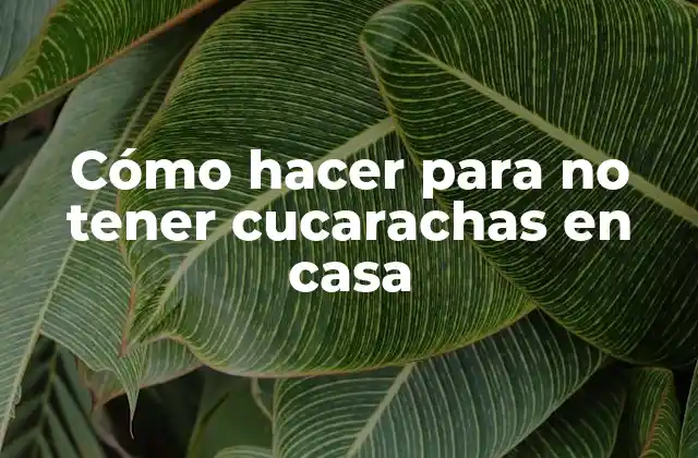 Cómo Hacer para No Tener Cucarachas en Casa
