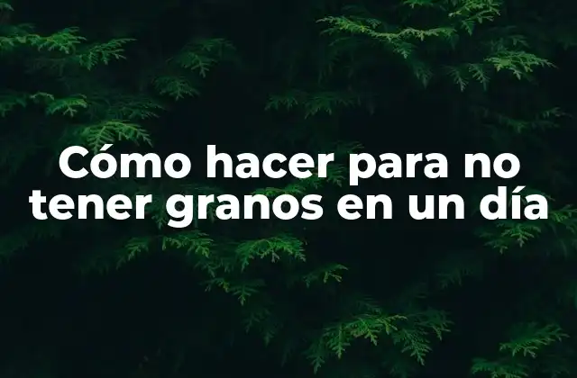 Cómo Hacer para No Tener Granos en un Día