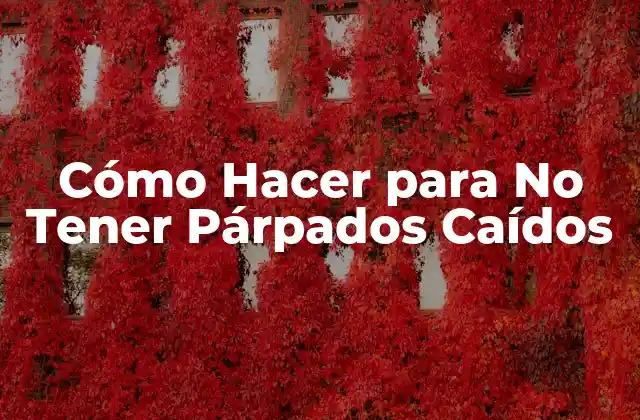 ¿Qué son los Párpados Caídos?