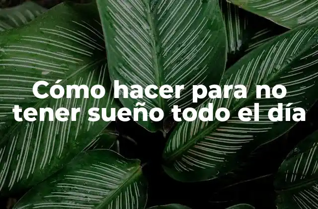 Cómo Hacer para No Tener Sueño Todo el Día