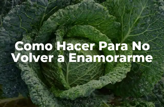 Como Hacer para No Volver a Enamorarme