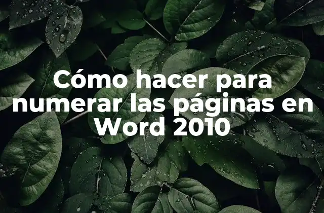Cómo Hacer para Numerar las Páginas en Word 2010