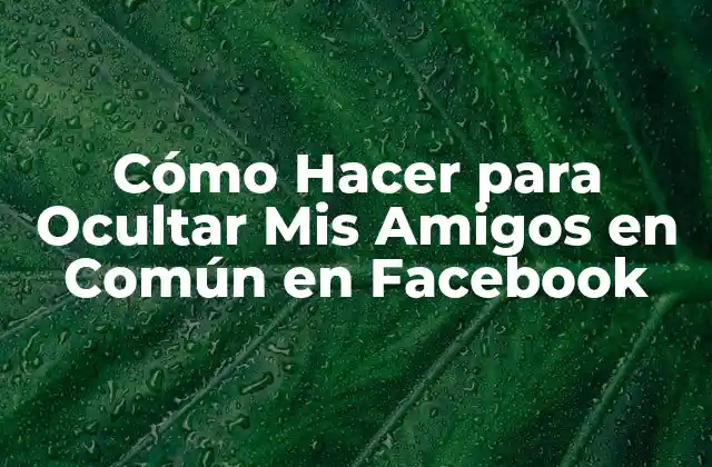 Cómo Hacer para Ocultar Mis Amigos en Común en Facebook
