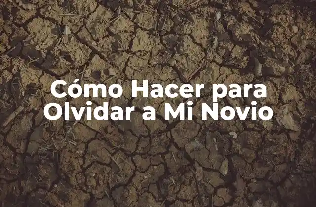 Cómo Hacer para Olvidar a Mi Novio