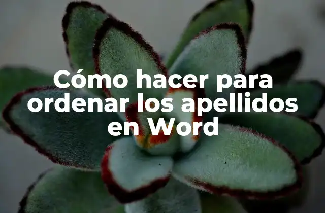 Cómo Hacer para Ordenar los Apellidos en Word