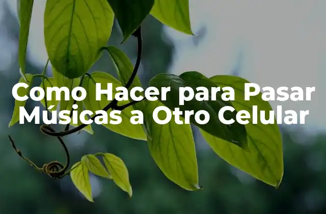 ¿Qué es la Transferencia de Música entre Celulares?