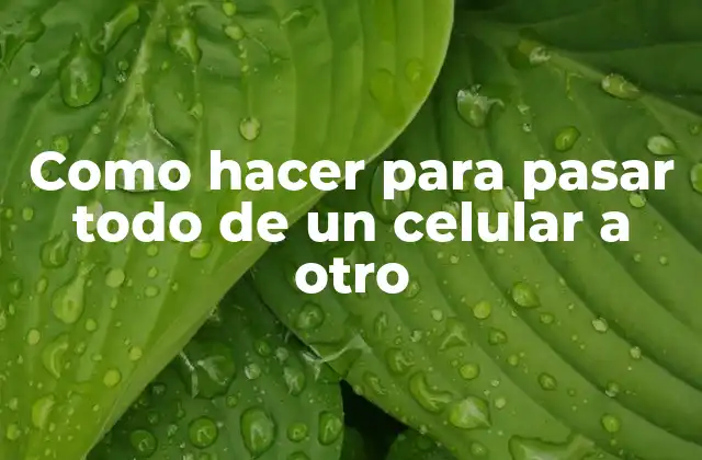 Como Hacer para Pasar Todo de un Celular a Otro