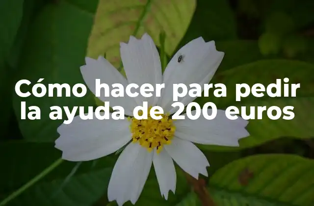 Cómo Hacer para Pedir la Ayuda de 200 Euros