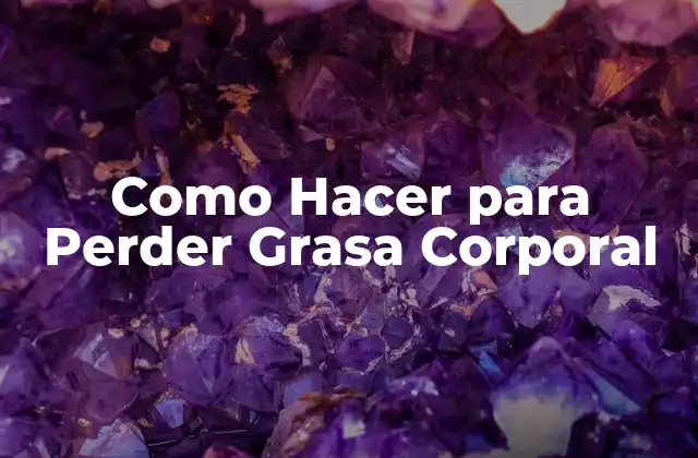 Como Hacer para Perder Grasa Corporal 2 ¿Qué es la Grasa Corporal y por qué es Importante Perderla?