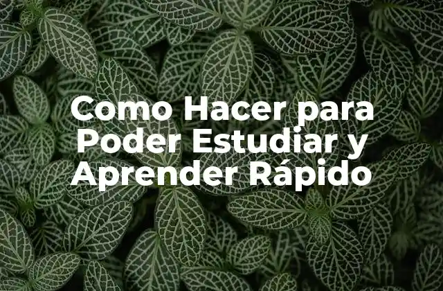 Como Hacer para Poder Estudiar y Aprender Rápido 2 Como Hacer para Poder Estudiar y Aprender Rápido