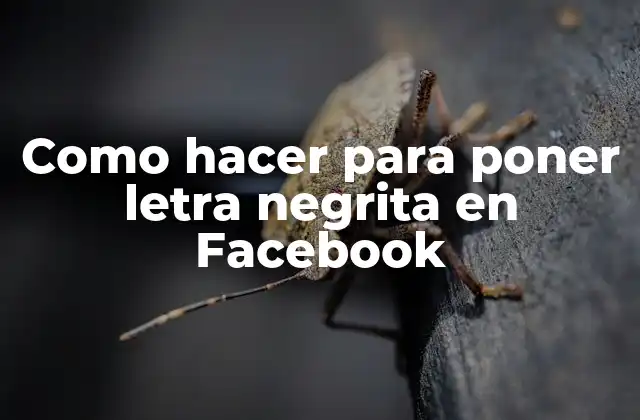 Como Hacer para Poner Letra Negrita en Facebook