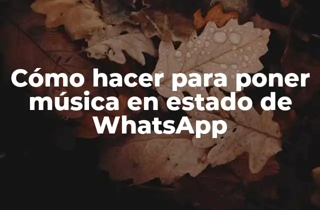 Cómo Hacer para Poner Música en Estado de Whatsapp