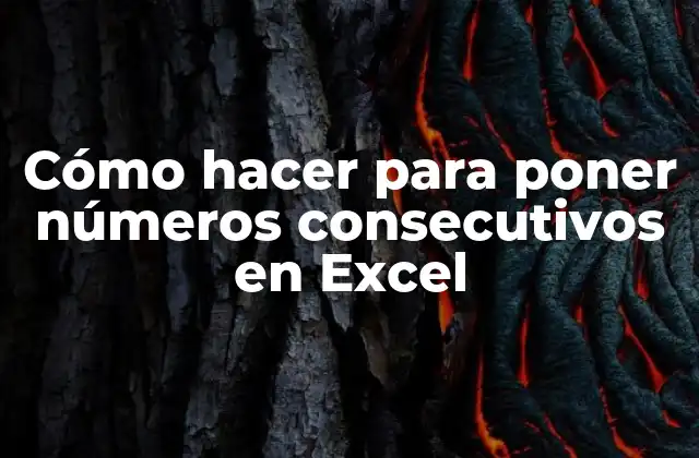 Cómo Hacer para Poner Números Consecutivos en Excel