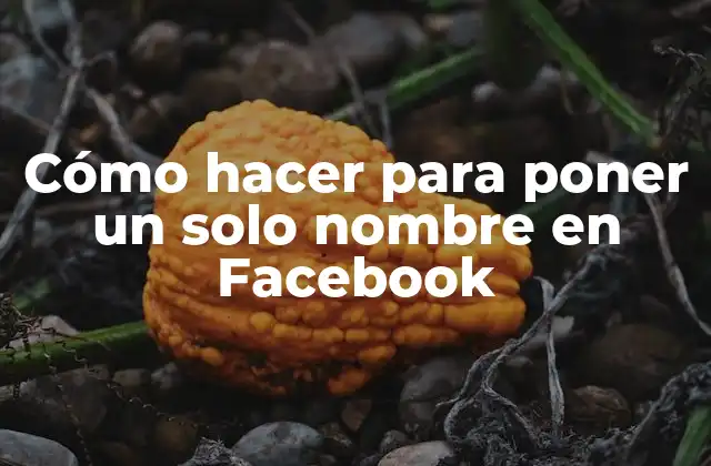 Cómo Hacer para Poner un Solo Nombre en Facebook