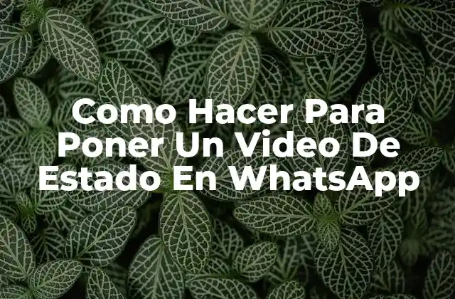 Como Hacer para Poner un Video de Estado en Whatsapp