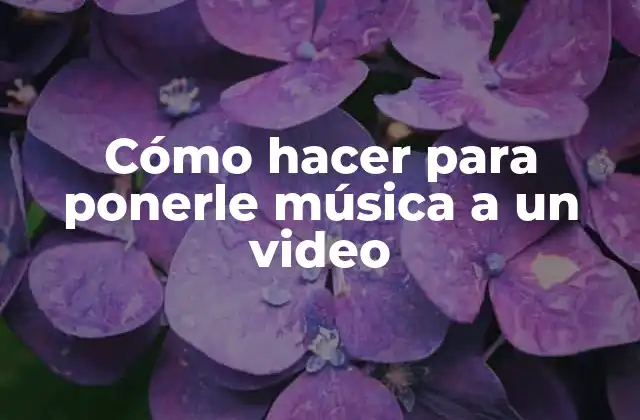 Cómo Hacer para Ponerle Música a un Video