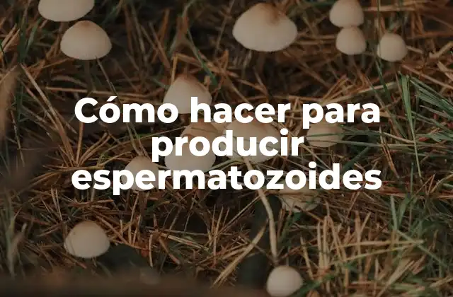 Cómo hacer para producir espermatozoides