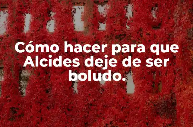 Cómo Hacer para que Alcides Deje de Ser Boludo.