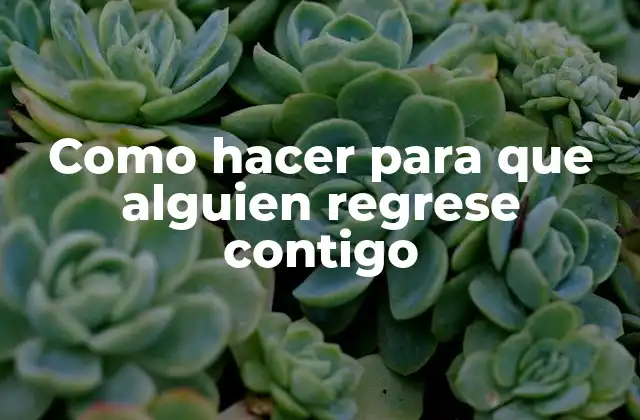 Como Hacer para que Alguien Regrese Contigo