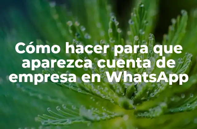 Cómo Hacer para que Aparezca Cuenta de Empresa en Whatsapp
