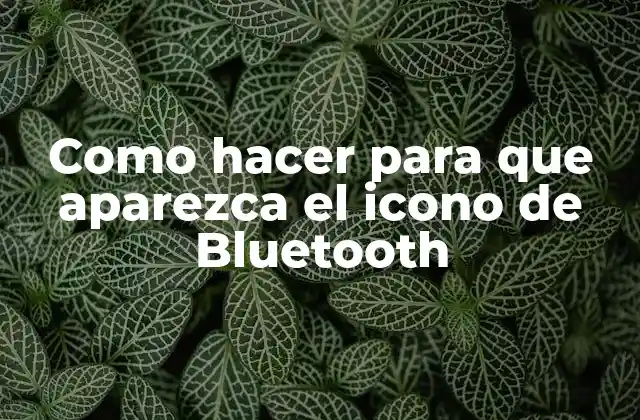 Como Hacer para que Aparezca el Icono de Bluetooth