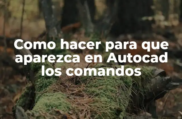 Como Hacer para que Aparezca en Autocad los Comandos