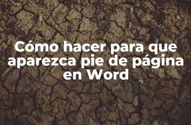 Cómo Hacer para que Aparezca Pie de Página en Word