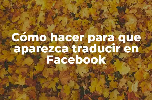 Cómo Hacer para que Aparezca Traducir en Facebook