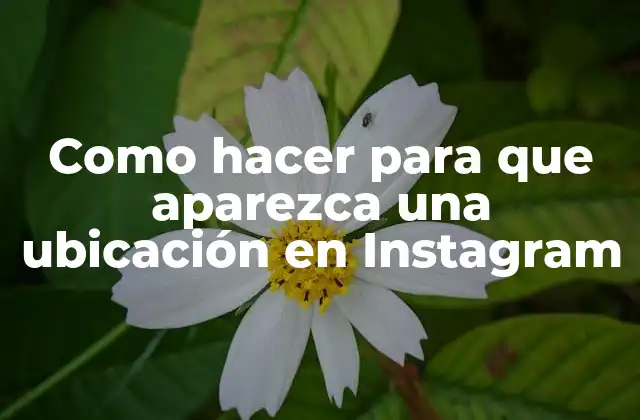 Como Hacer para que Aparezca una Ubicación en Instagram 2 Como hacer para que aparezca una ubicación en Instagram