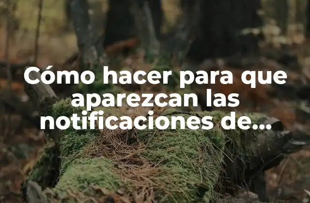 Cómo Hacer para que Aparezcan las Notificaciones de Whatsapp